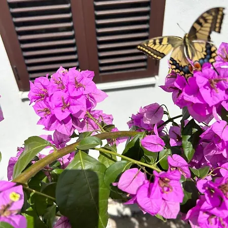 Garden Dina With Free Parking * 스플리트