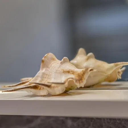 Garden Dina With Free Parking